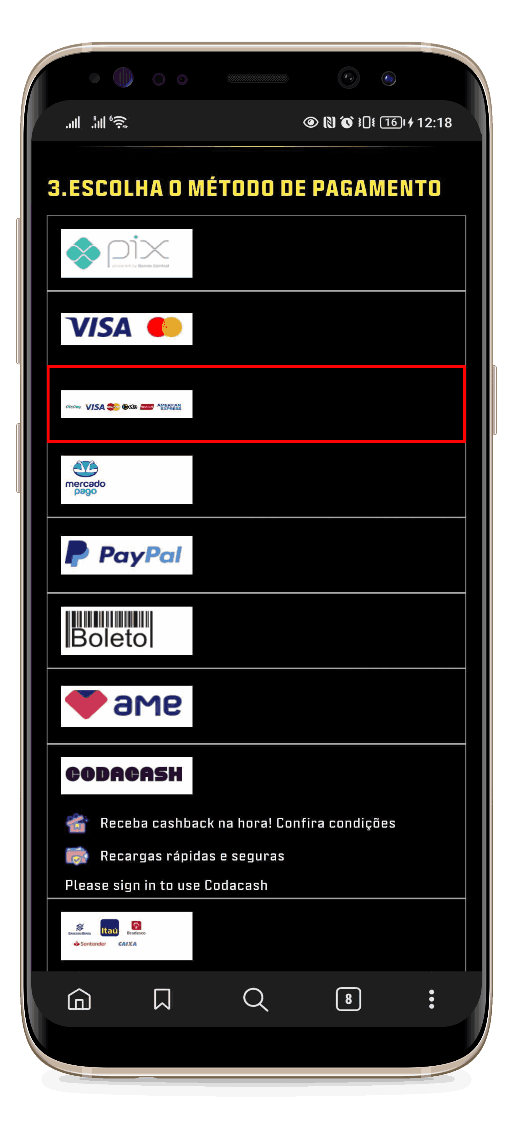BRpicpay.png